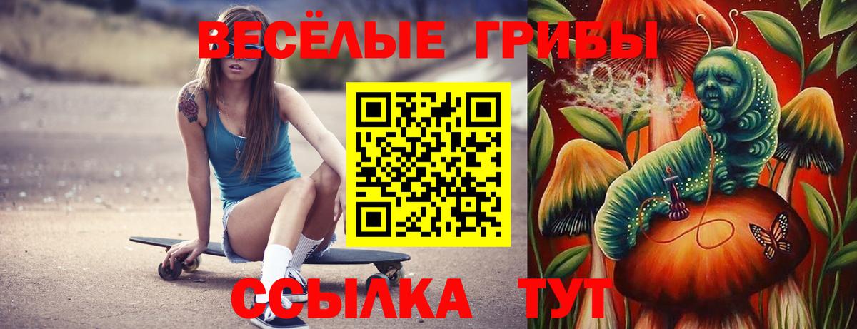Псилоцибиновые грибы мицелий Губаха
